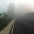 activity photo
