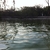 activity photo