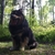 activity photo