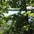 activity photo