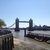activity photo
