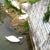 activity photo