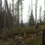 activity photo