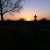 activity photo