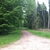activity photo