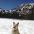 activity photo