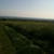 activity photo
