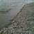 activity photo