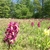 activity photo