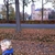 activity photo