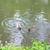 activity photo