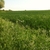 activity photo