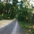 activity photo