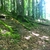 activity photo