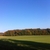 activity photo