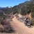 activity photo