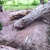 activity photo