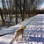activity photo
