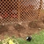 activity photo