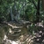 activity photo
