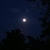 activity photo