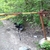 activity photo