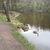 activity photo