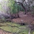 activity photo