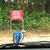 activity photo
