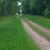 activity photo