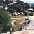 activity photo