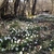 activity photo