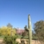 activity photo