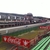 activity photo