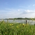activity photo