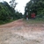 activity photo