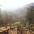 activity photo