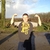 activity photo
