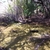activity photo