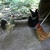 activity photo