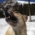 activity photo