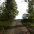 activity photo