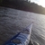 activity photo
