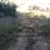 activity photo