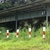 activity photo