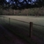 activity photo