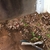 activity photo