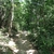 activity photo