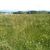 activity photo