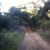 activity photo